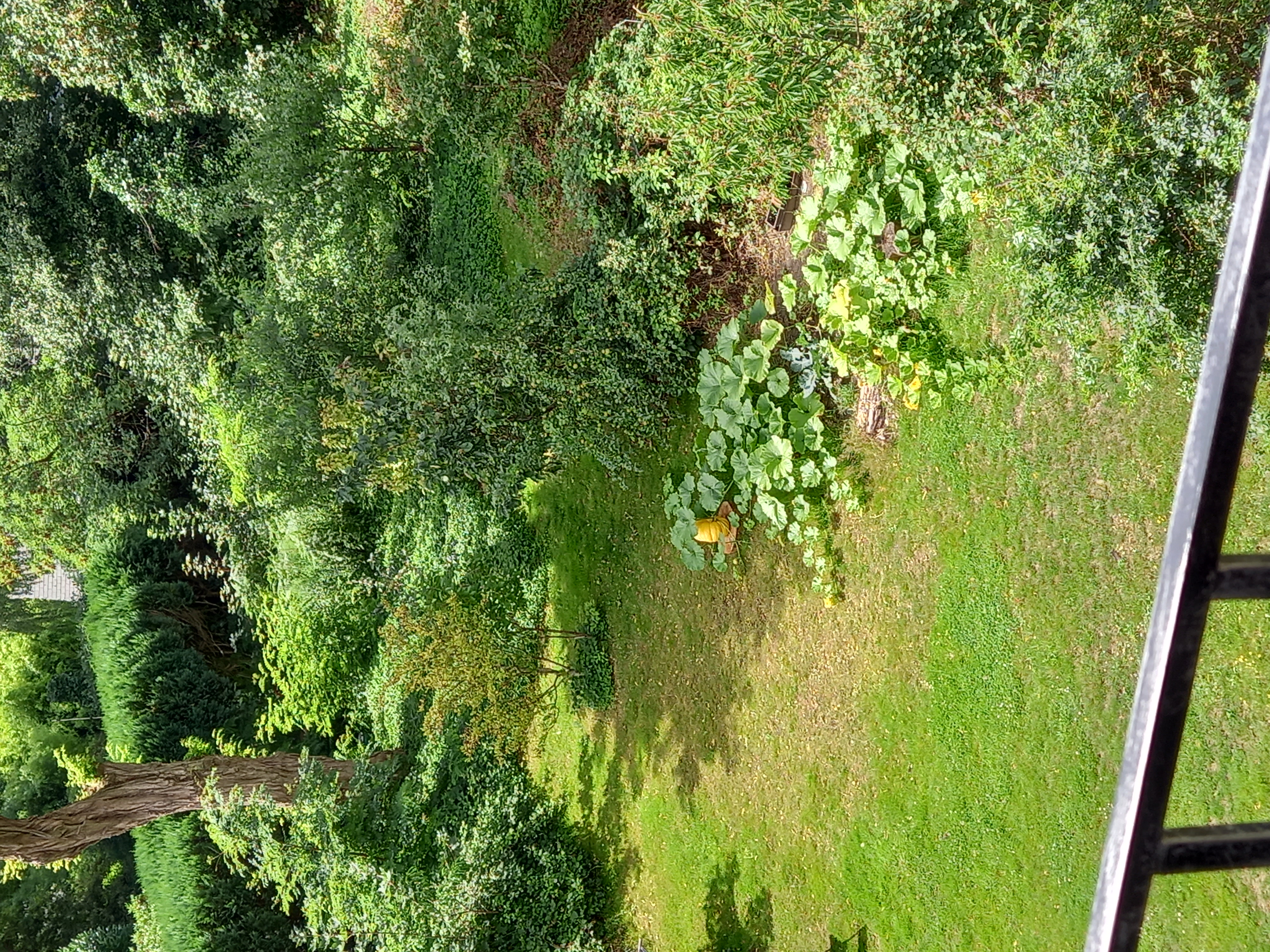 Chambre au 2ème avec vue/jardin — photo 6